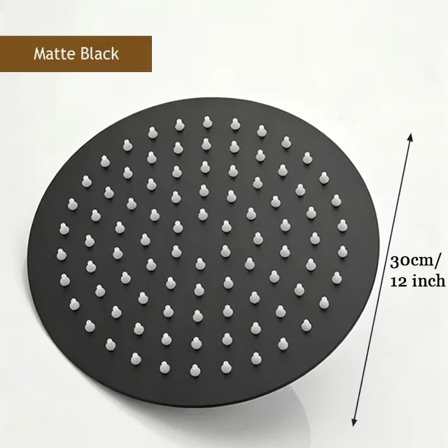 Why this shower head stands out.